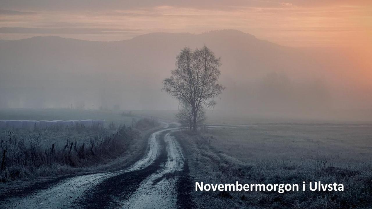 Nyrenoverat Boende I Vackra Järvsö Buitenkant foto