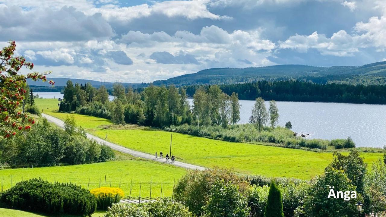 Nyrenoverat Boende I Vackra Järvsö Buitenkant foto